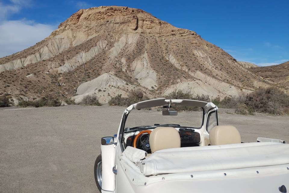 Burbuja del desierto