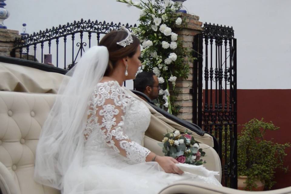 Vista terrestre novia