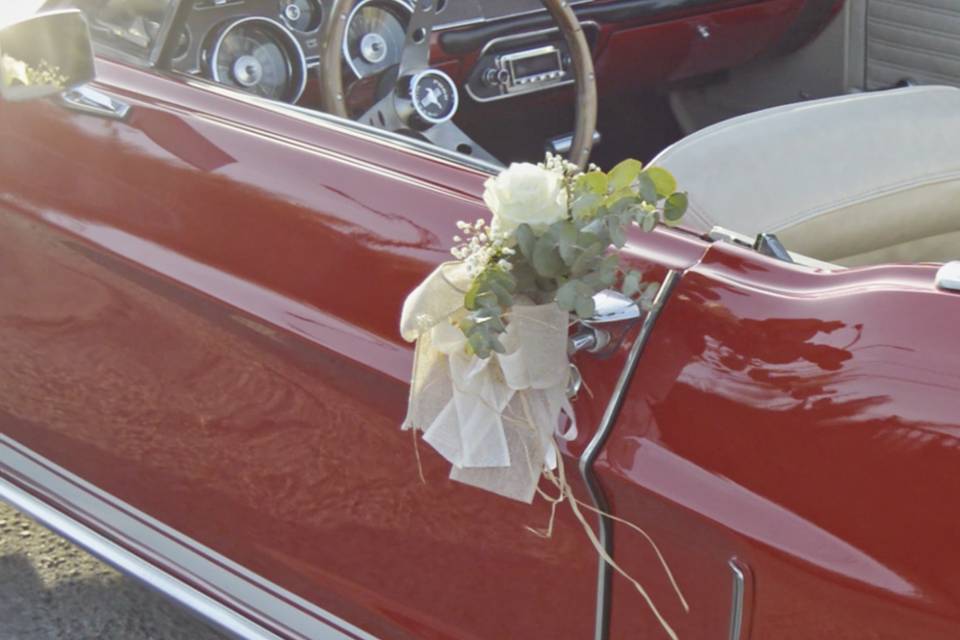 Vista terrestre coche