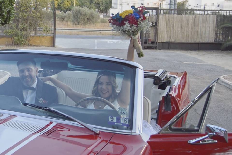 Vista terrestre novios