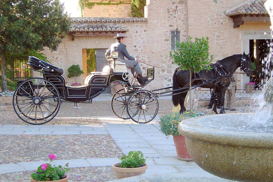 Coche para boda