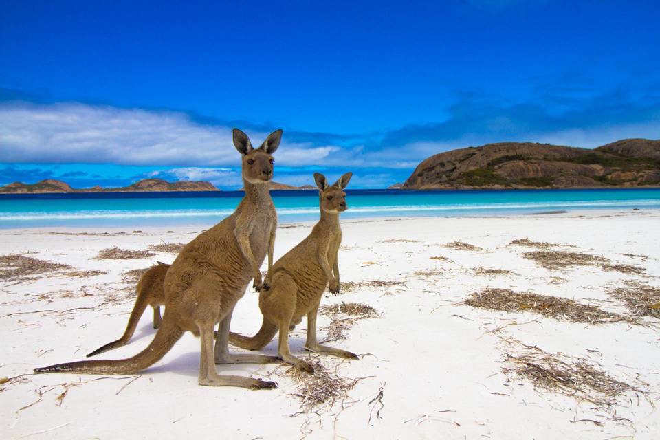 Australia