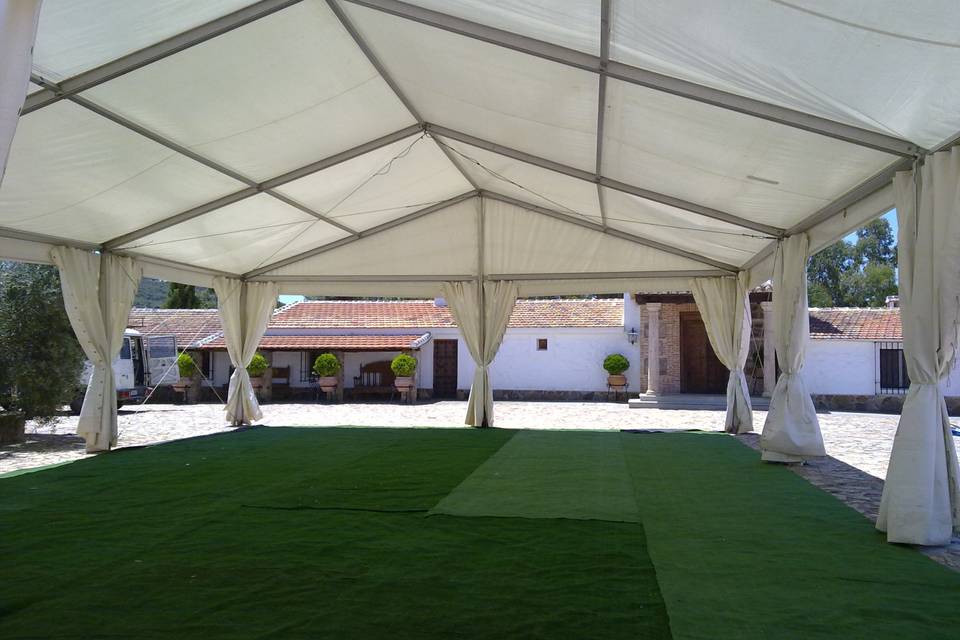 Carpa diáfanas