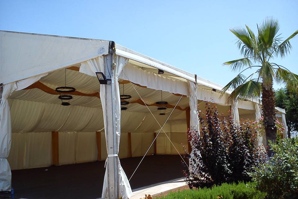 Carpa dentro de jardín