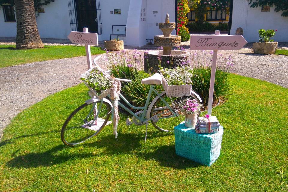 Bodegón con bicicleta