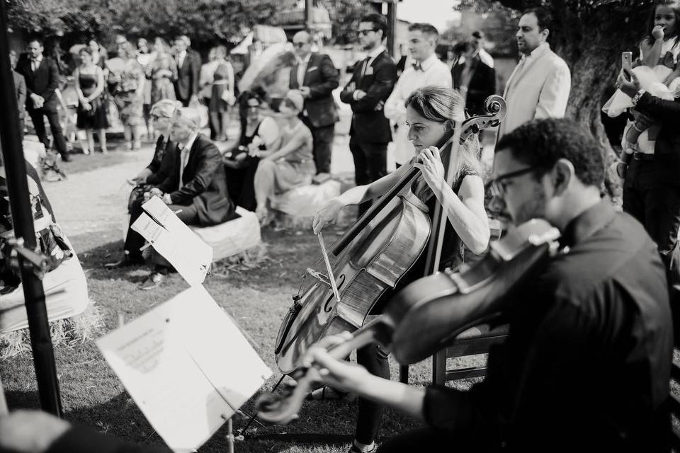 Formación: Cuarteto de cuerda