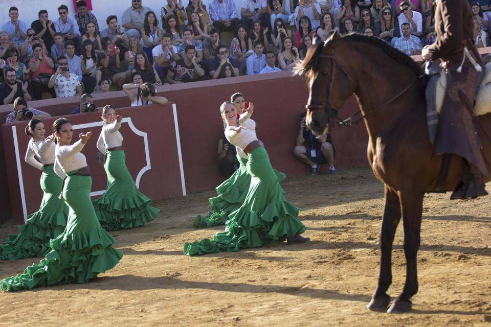 Cortijo El Alamillo