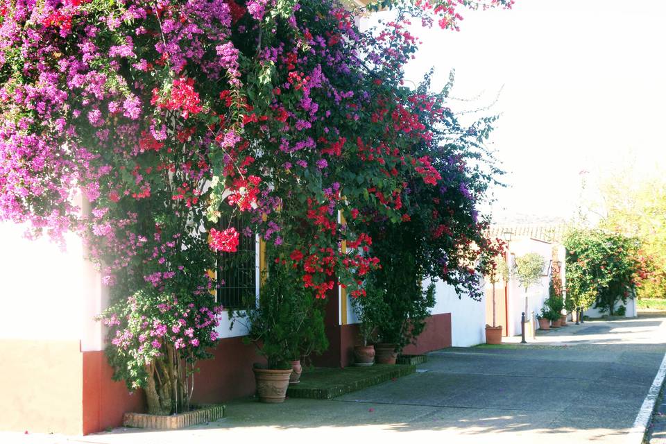 Entrada salón los tapices