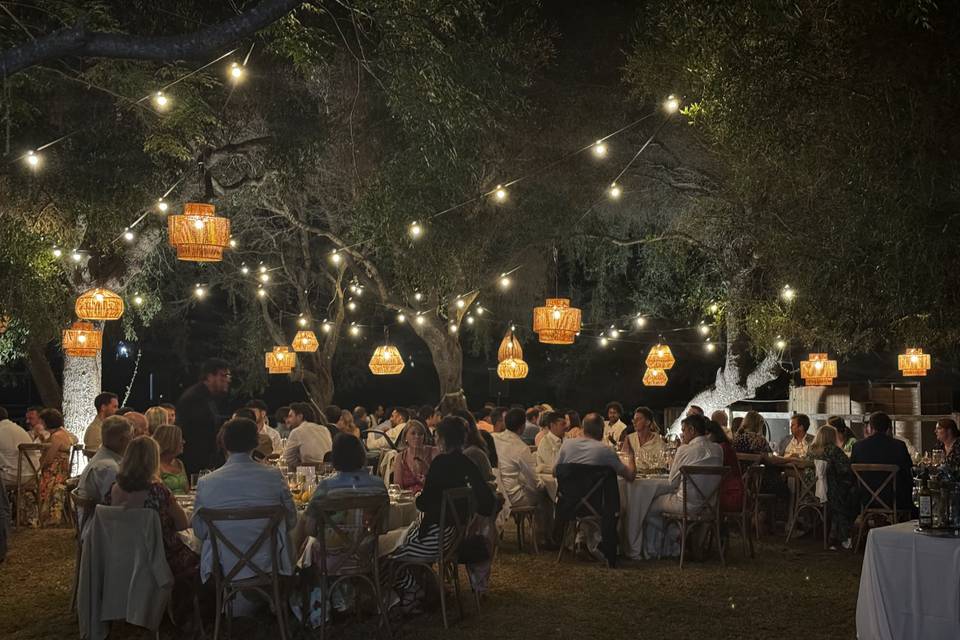 Vista de noche jardín