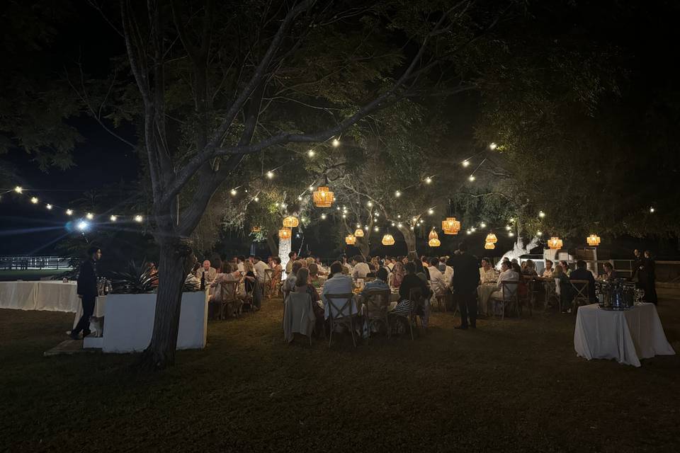 Vista de noche jardín