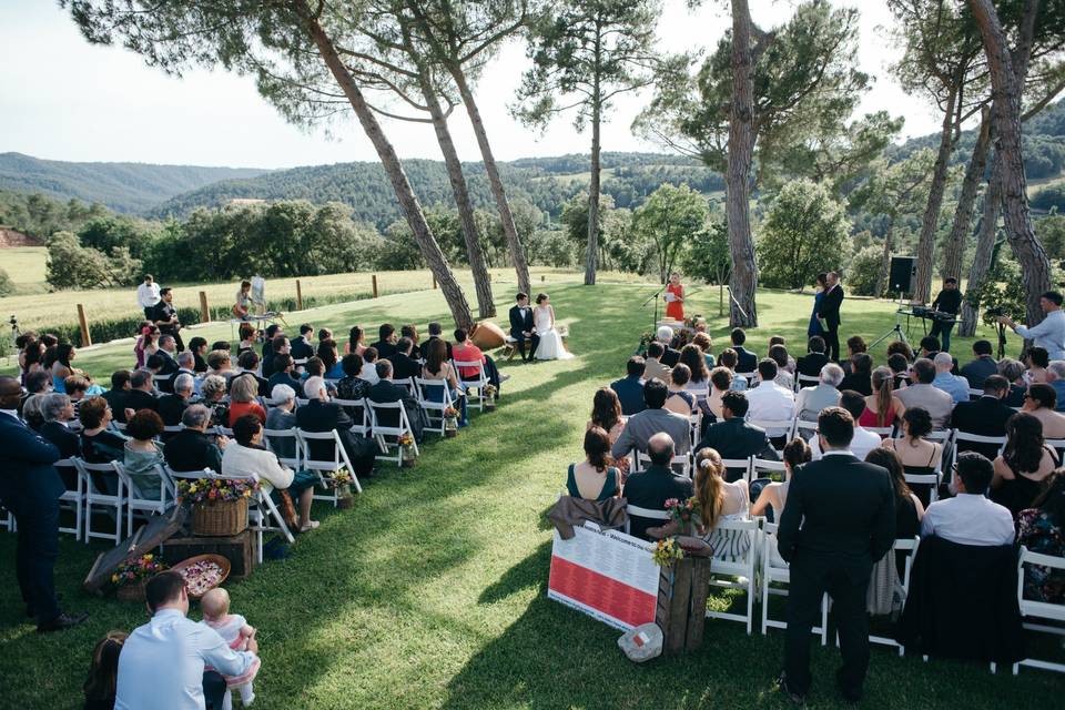 Ceremonia entre pinos