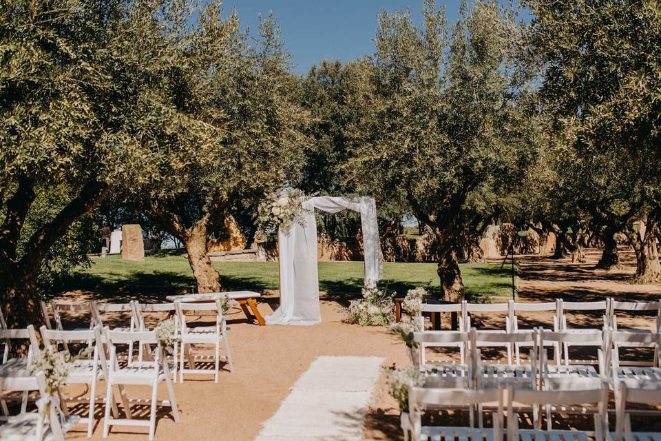 Ceremonia en los olivos