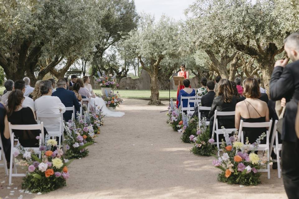 Ceremonia en los olivos