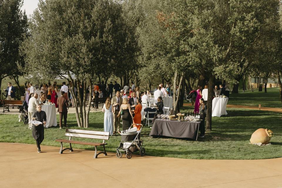 Ceremonia en los olivos