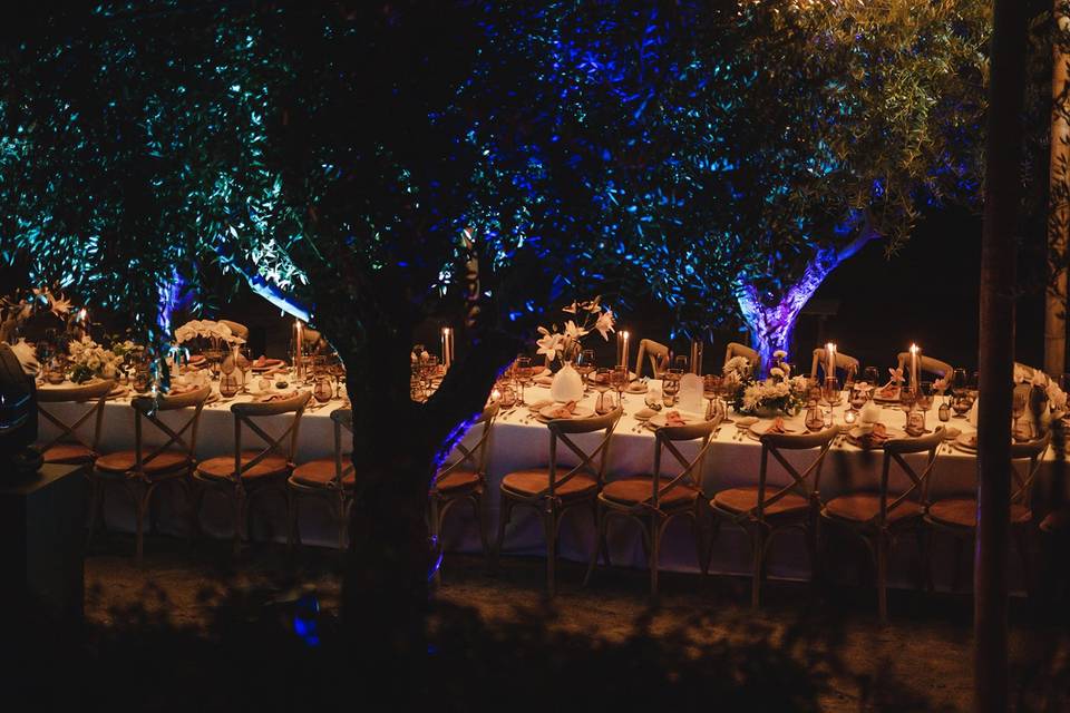 Banquete dentro los olivos