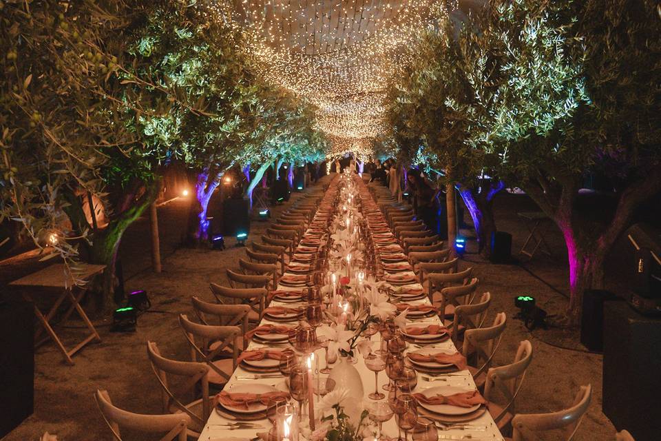 Banquete debajo los olivos