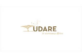 Udare