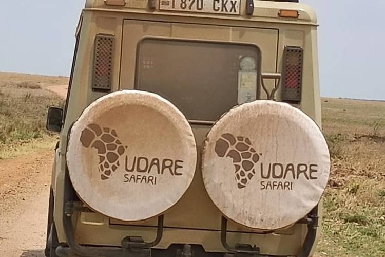 Udare