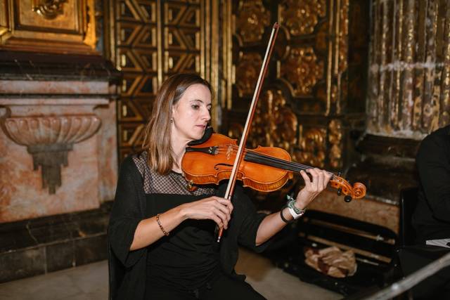 Violín