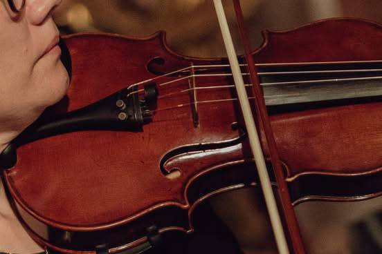 Detalle violinista