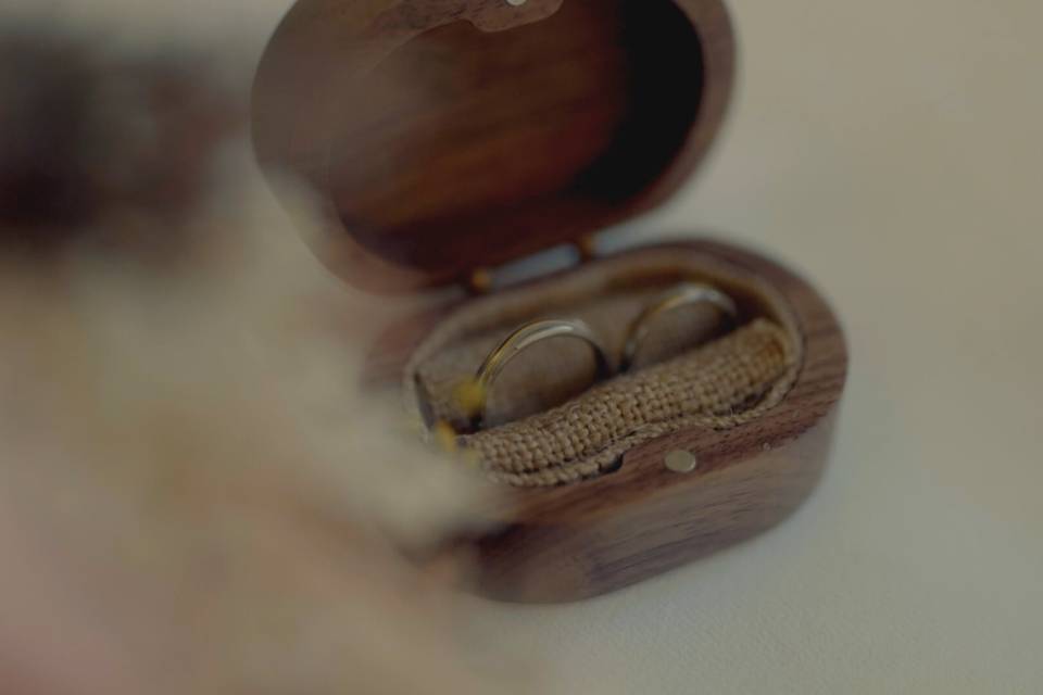 Anillos