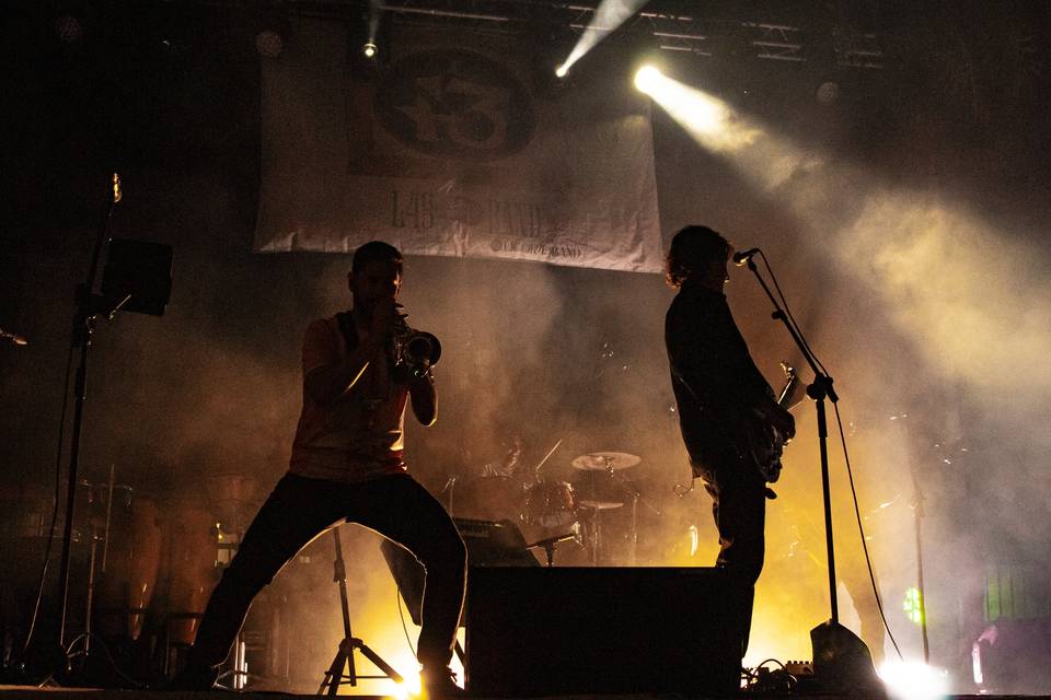 Nb licor 43