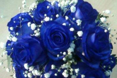 Ramo rosas azules
