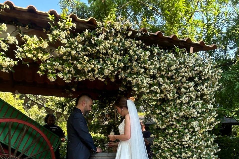 Ceremonia Plaza
