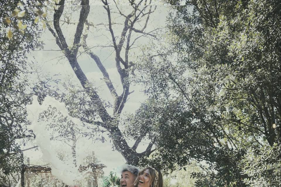 Novios