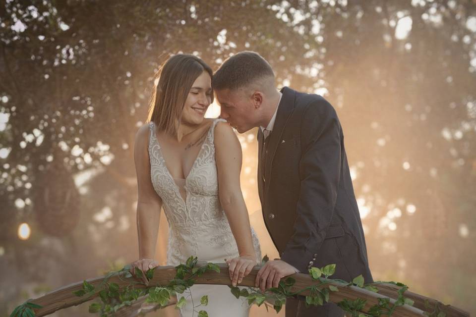 Novios