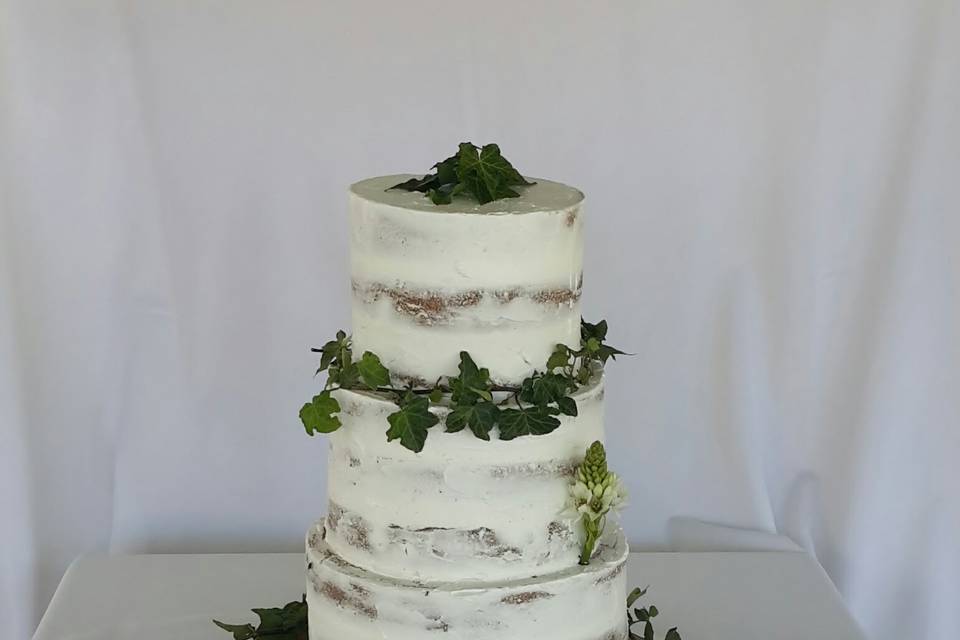 Semi Naked Cake,