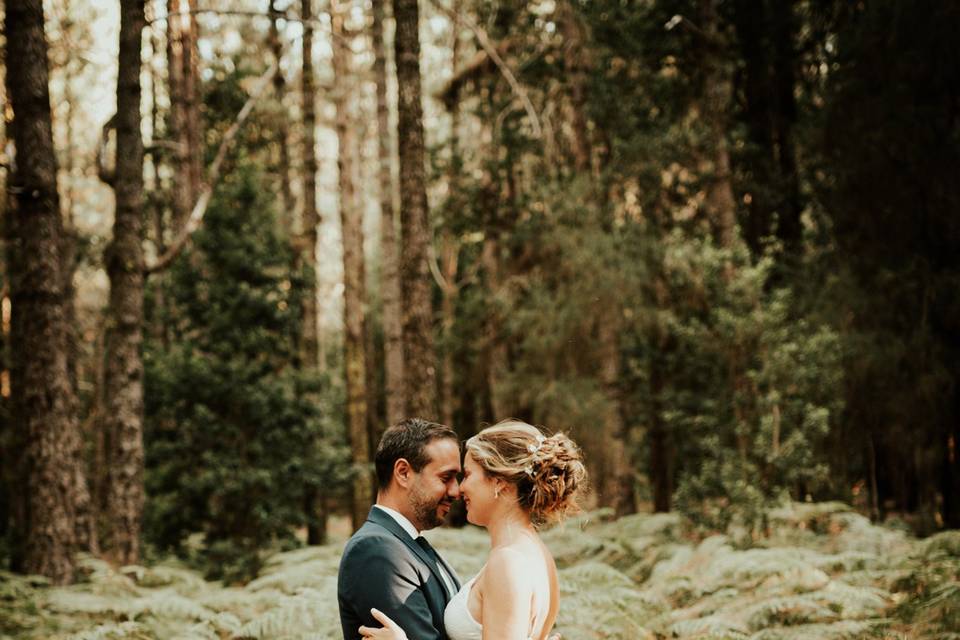 Postboda de Virginia e Iván