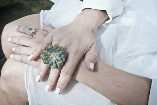 Anillo suculentas
