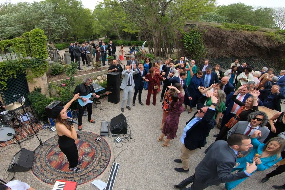 Panorámica banda