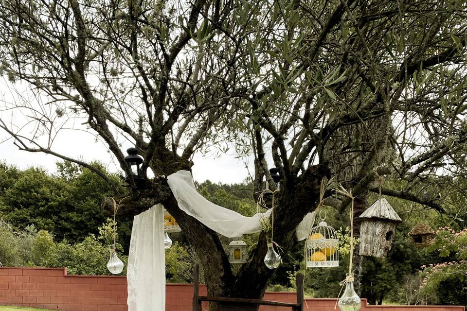 Ceremonia civil en el jardín