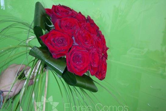 Flores Comos