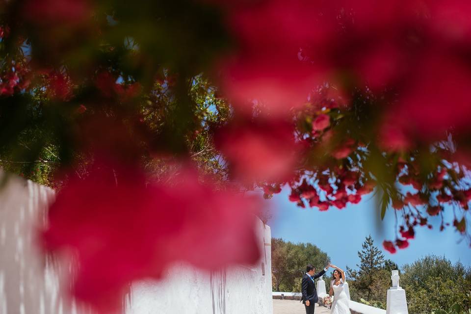 Camino al altar