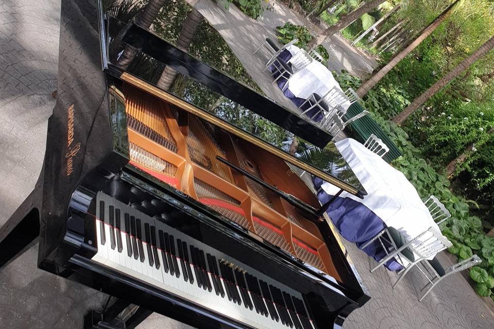 Piano solo en banquetes