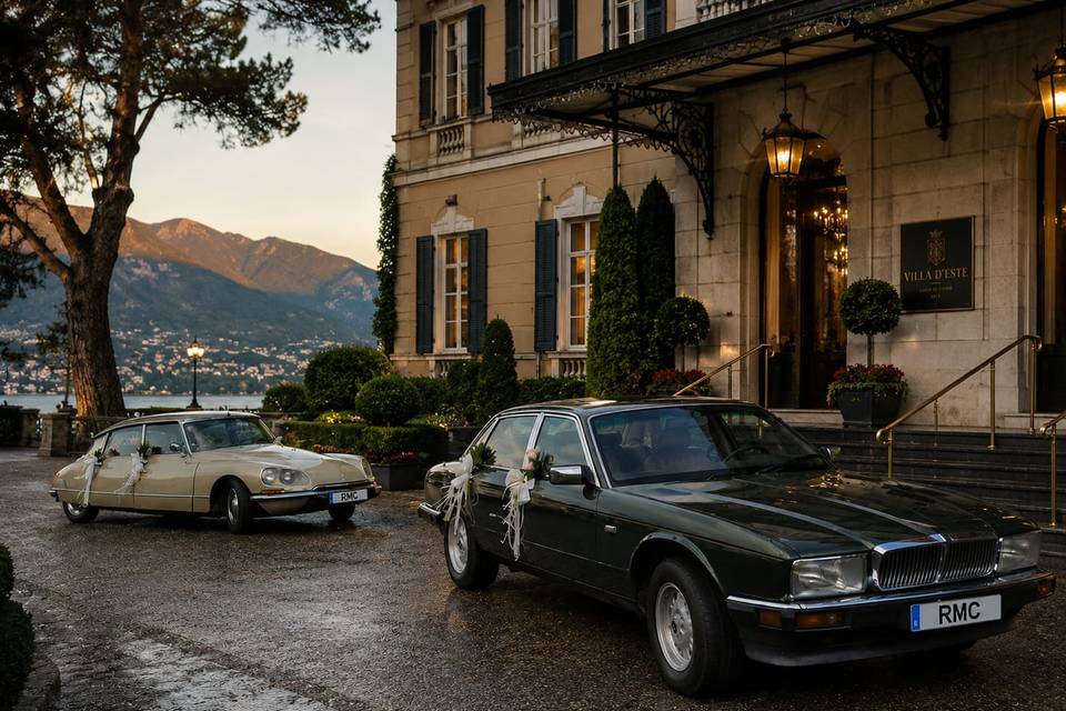 Tiburón&Jaguar