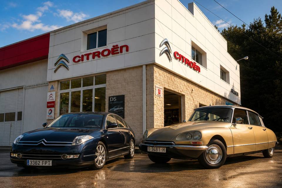 C6&Tiburón
