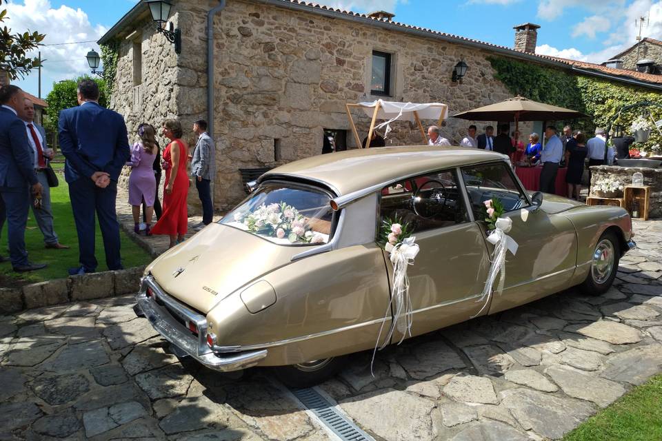 Citroen DS 21 Tiburón