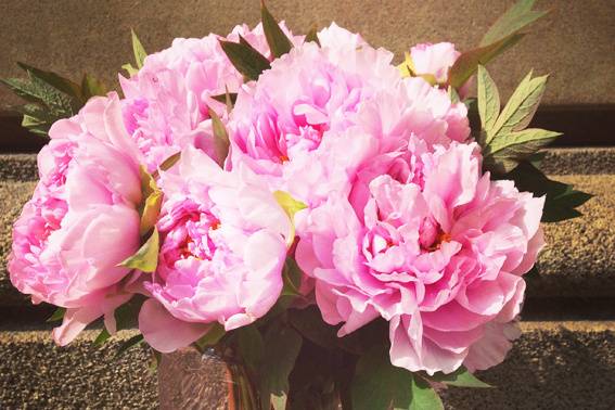 En tonos rosas