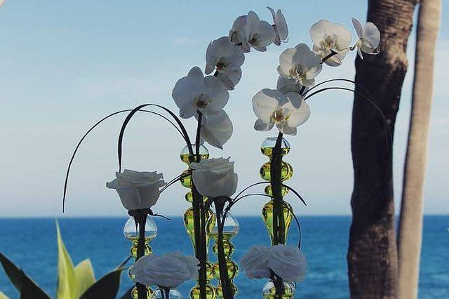 Ceremonia en la playa