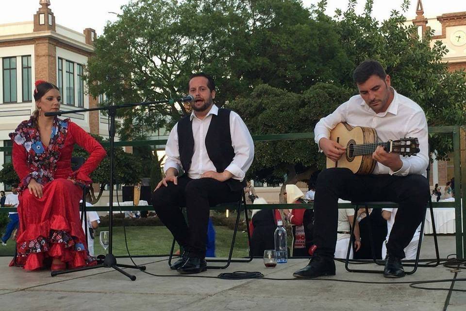 Flamenco en Málaga