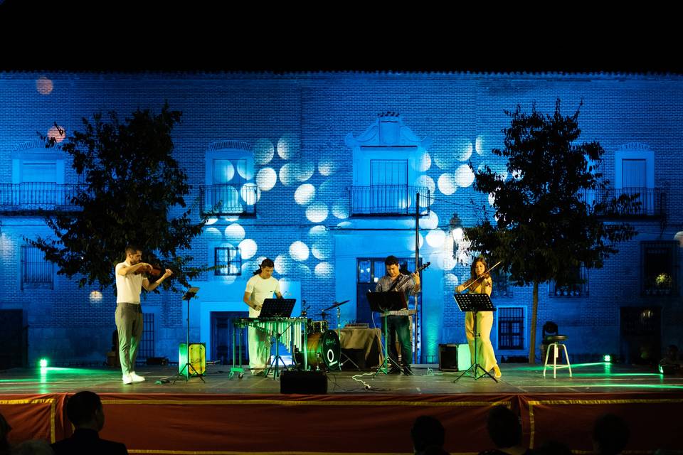 Músicos profesionales