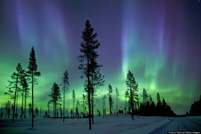 Cómo ver una aurora boreal casi cualquier día del año? - Martha Dle