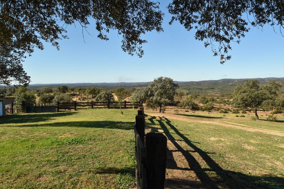 Vista desde la zona ajardinada