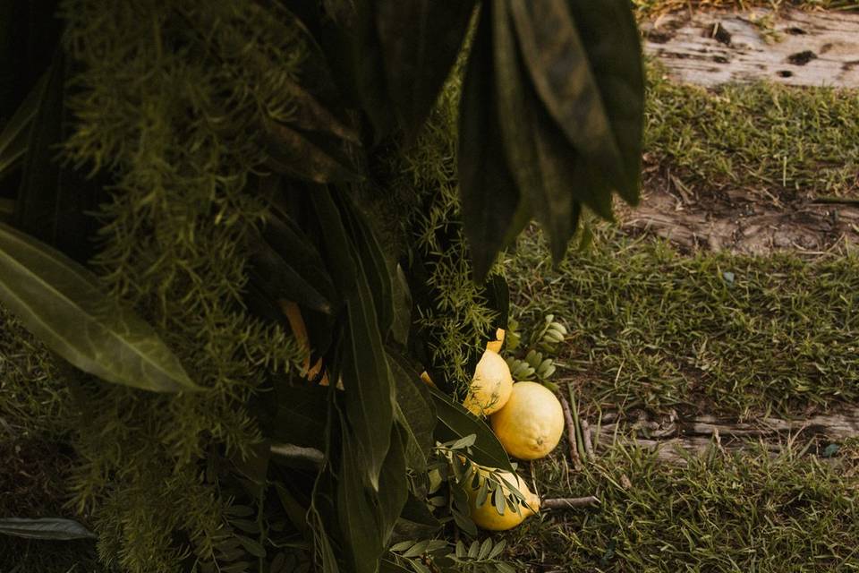 Limones detalles jmb