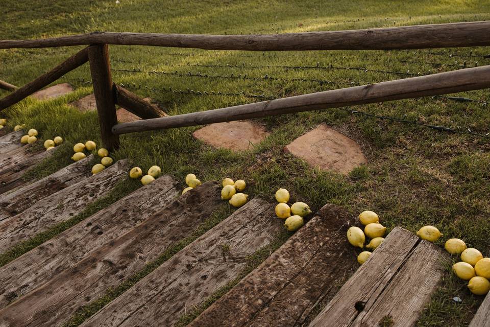 Limones detalles jmb