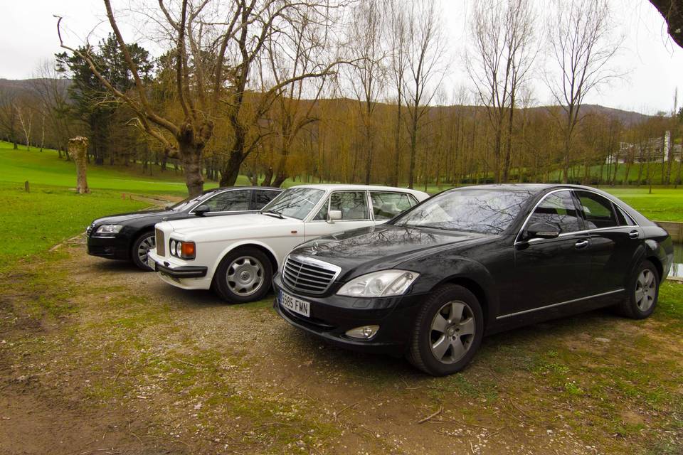 Detalle de los coches